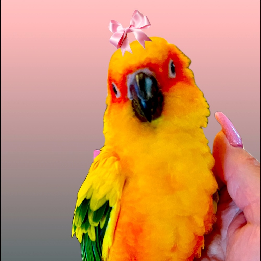 Meet your Poshers, Valerie & Sunny!